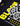 Bloom T-Shirt Black w Yellow